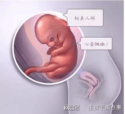 林教授